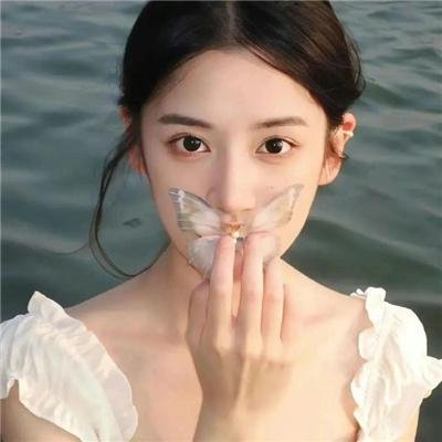海葵